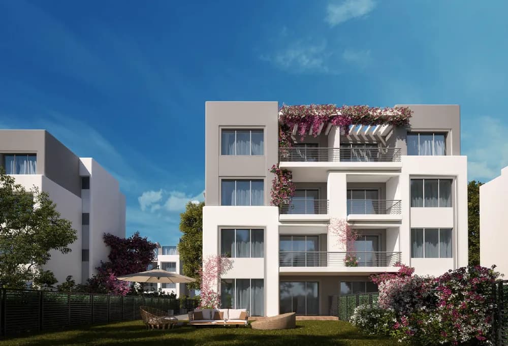 Cattleya 7