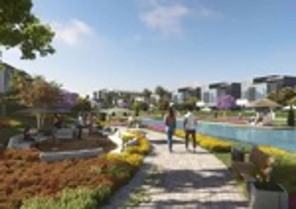 Kite 8